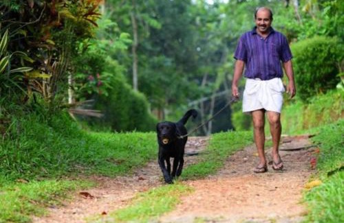 Sulthan Bathery Apartment | GreensVista Wayanad AC Pillar Homestay near Natural Stream and Amazing View