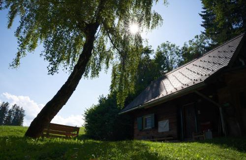 Edelschrott House | Gregor's Ferienhaus im Wald