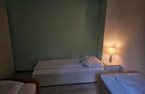 Offenburg Apartment | Großzügiges Reihenhaus mit Garten ideal für Geschäftsreisende und Familien bis 8 Personen