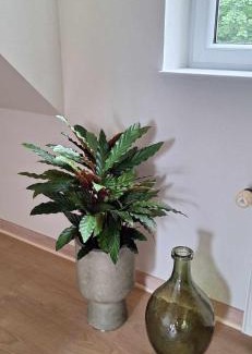 Mandoe Bed & Breakfast | Groennebaek Bed and Breakfast