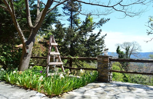 Milies Cottage | Grove Cottage Pelion
