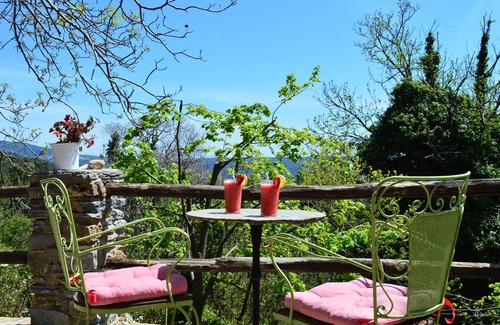 Milies Cottage | Grove Cottage Pelion