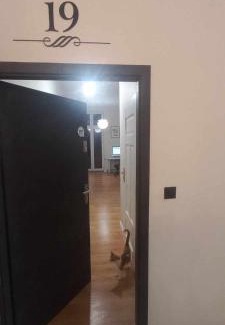 Grudziadz Apartment | Grudziądzkie Atelier dla Turystów