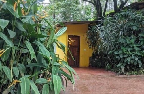 Chikkamagaluru Apartment | Guddadamane Homestay Estate View with Private Hut