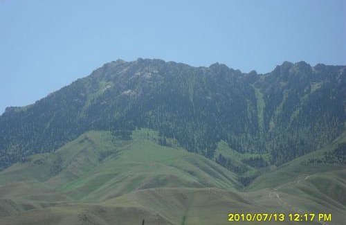Naryn House | Guest hause in Naryn