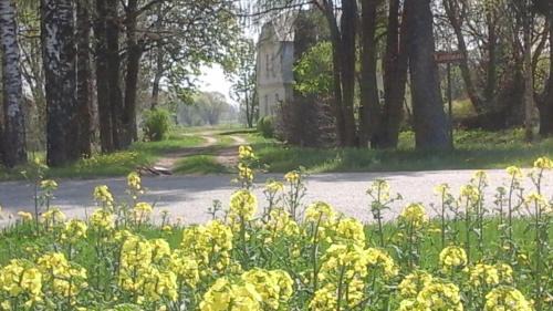 Zemgale House | Guest house LAUKMALI