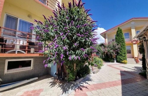 Bosteri House | Guest House Moryachka
