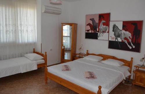 Tyulenovo House | Guest House Orbita