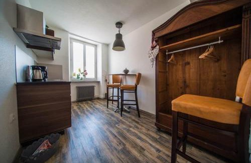 Neuf-Brisach Apartment | Guesthouse Le Vauban