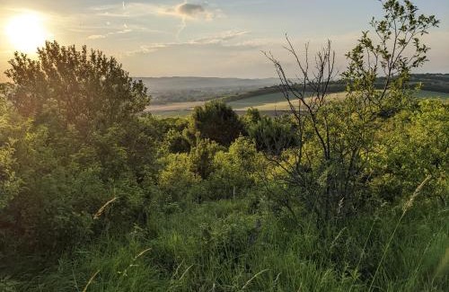 Kehidakustany House | Ház a Hold utcában