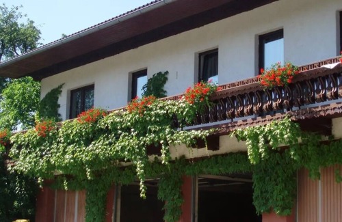 Neustift im Muehlkreis Apartment | Höllmühle