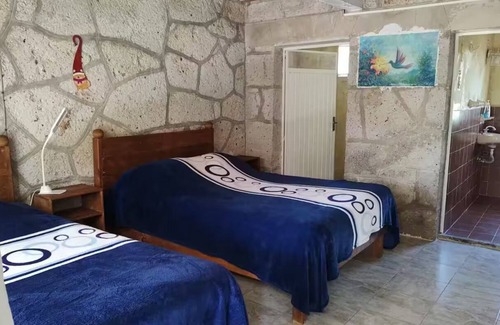 Huasca De Ocampo Bed & Breakfast | Habitación Patos