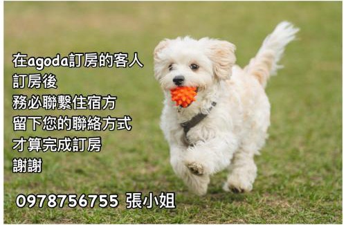 Hualien City Centre Bed & Breakfast | Haibian Mingren 50