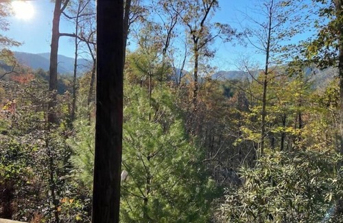 Robbinsville Cabin | Hala Hideaway - for nature lovers of all types!