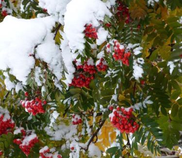Homer Bed & Breakfast | Halcyon Heights B&B/Inn