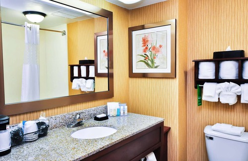 Carrollton Hotel | Hampton Inn Carrollton