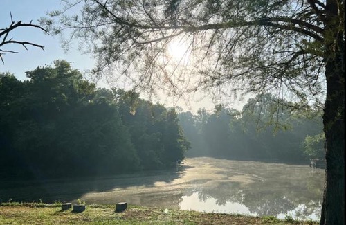 Huntsville Other | Harmon Creek Marina and Campground Glamping Tent