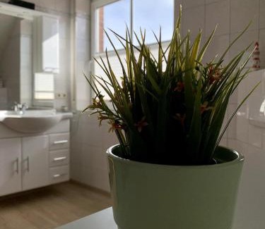 Theene Apartment | Harms, Ferienwohnung