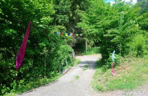 Ramberg Bed & Breakfast | Haus 3 Birken
