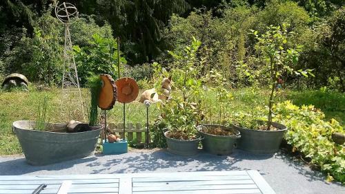 Ramberg Bed & Breakfast | Haus 3 Birken