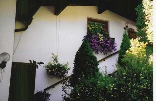 Achenkirch Apartment | Haus Alex