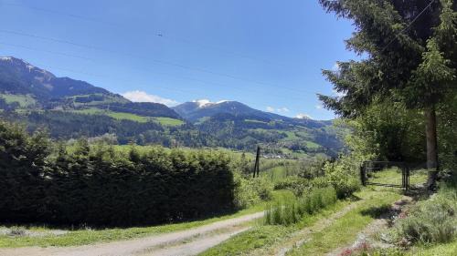 Michaelerberg-Pruggern House | Haus Pinter in Schladming - Dachstein Region