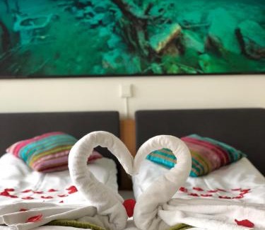 Orsta Hotel | Havila Hotel Ivar Aasen