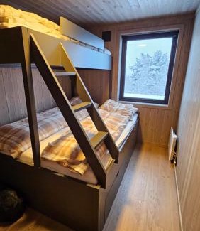 Hol Municipality Ski Chalet | havsdalen 57