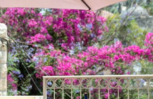 Ein Karem Apartment | Heart of Ein Kerem,Charming appartment in the most beautiful square of Jerusalem