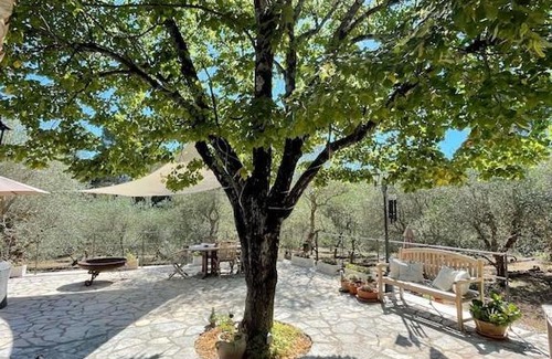 Saint-Cezaire-sur-Siagne Villa | Hidden Gem within a peaceful olive orchard, large oak forest