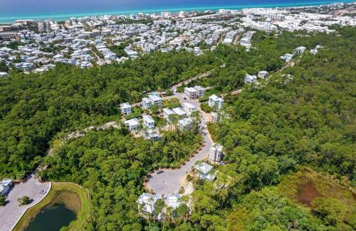 Treetop House | Hidden Tides