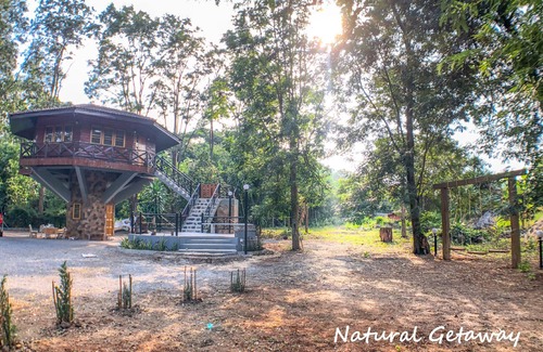 Nong Nam Daeng House | Hidden Treehouse in KhaoYai!