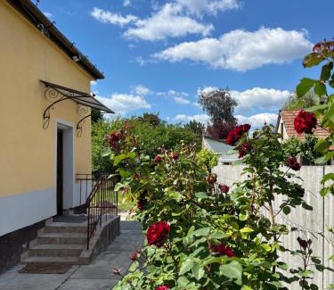 Rakosszentmihaly Apartment | Hideaway house 01 with garden & yard and free parking