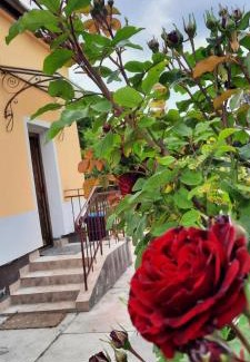 Rakosszentmihaly Apartment | Hideaway house 01 with garden & yard and free parking
