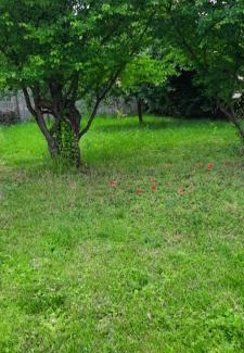Rakosszentmihaly Apartment | Hideaway house 01 with garden & yard and free parking