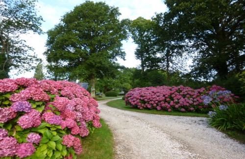 La Foret-Fouesnant House | High-quality, tastefully decorated house by the sea. 4* label in 2024! Sleeps 4