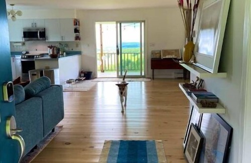 Town of Masonville House | Hightop House in NW Catskill: Views, Privacy, Fun