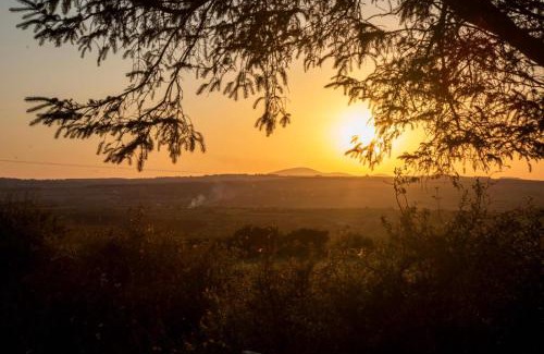 Ballyhale Other | Hill View Lodge