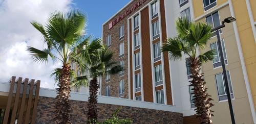 Wesley Chapel Hotel | Hilton Garden Inn Tampa - Wesley Chapel