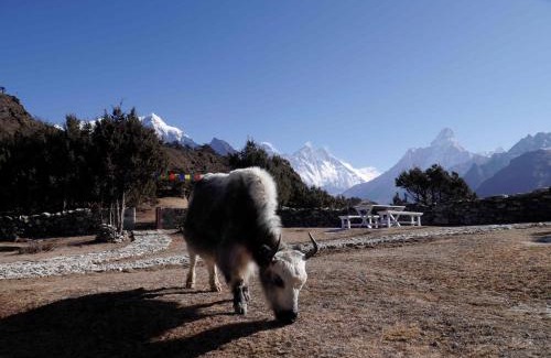 Namche Bazaar Cabin | Himalaya Sanso