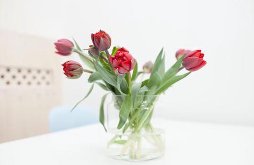 Haarlemmerbuurt Bed & Breakfast | HiP & STYLISCH B&B