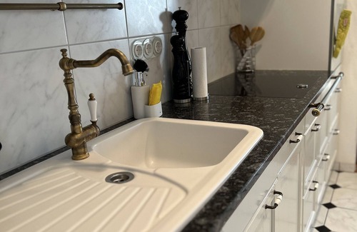 Freiburg im Breisgau Apartment | Historical Luxury Homes - Luxury family suite with terrace