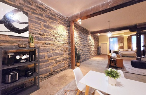 Central Business District Apartment | Historical spacious loft DNTN/pets/parking Ext Stays. 8mins hospitals & Colleges