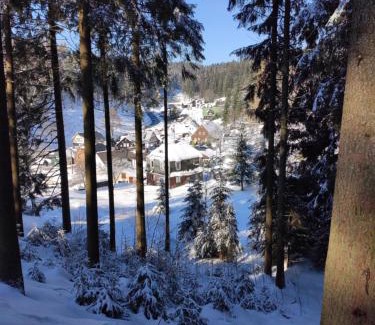 Muhlleithen House | Historisches Aschberg Haisl Klingenthal, Terrasse, großer Garten 6 plus 2 Personen
