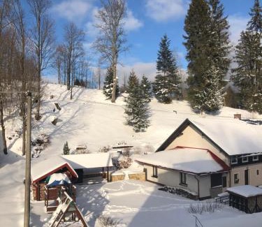 Bartosovice v Orlickych horach Hotel | Hotel Bartošovice