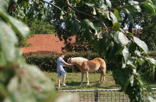 Sint Odilienberg Other | Hoeve Linnerveld