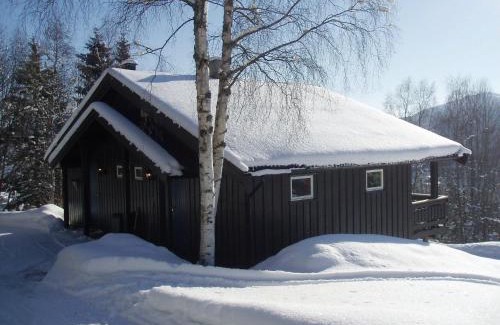 Hjartdal Municipality Apartment | Hogstul Hytter - Apartment North