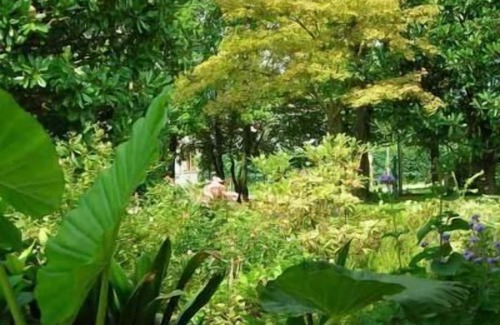 Pieve di Soligo House | Holiday apartment Pieve di Soligo for 1 - 4 persons with 2 bedrooms - Holiday house