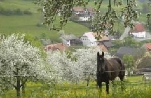 Lausheim Apartment | Holiday apartment Stühlingen for 2 - 4 persons with 1 bedroom - Holiday apartment