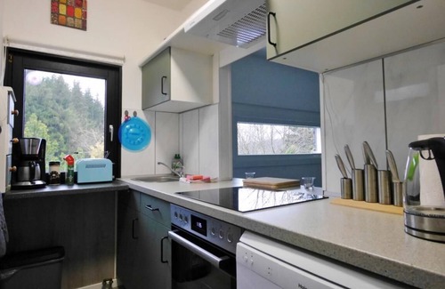 Usseln House | Holiday home Free Willi*